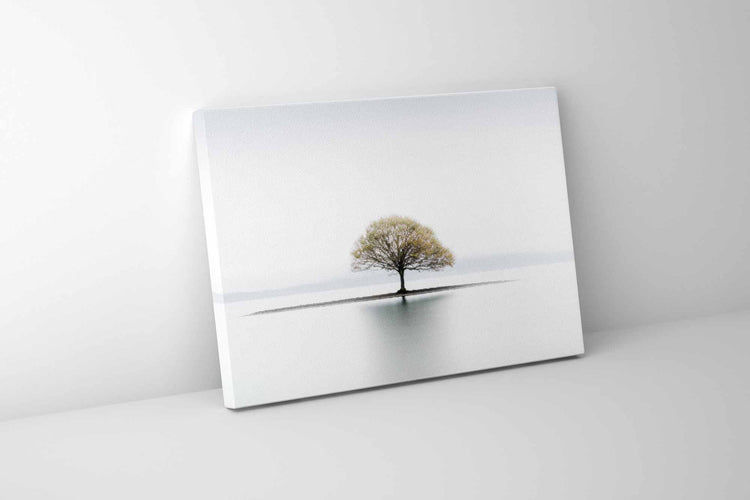 Canvas Print-Solitude-Wall Art-0