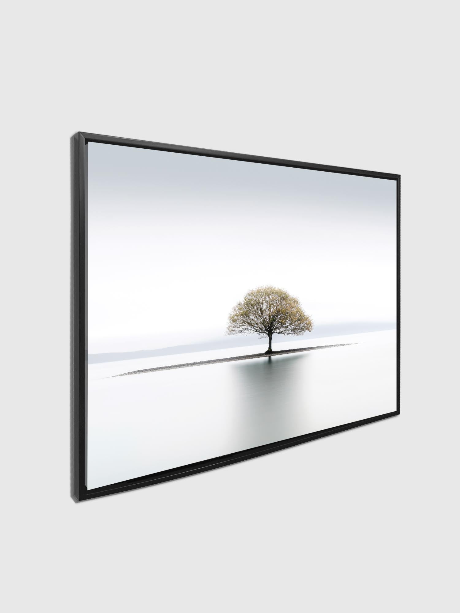 Canvas Print-Solitude-Wall Art-4
