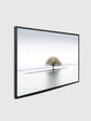 Canvas Print-Solitude-Wall Art-4
