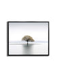 Canvas Print-Solitude-Wall Art-2