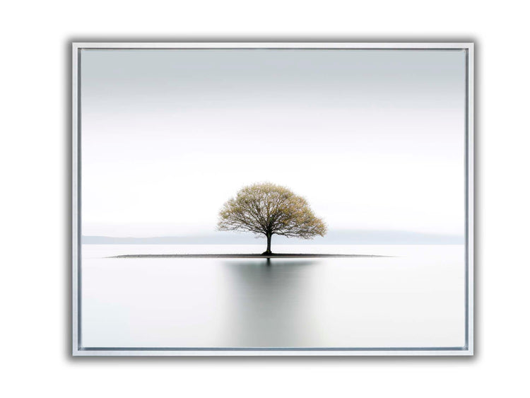 Canvas Print-Solitude-Wall Art-5
