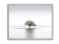 Canvas Print-Solitude-Wall Art-5